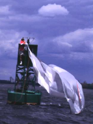 Cutting down the spinnaker